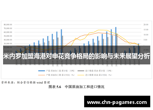 米内罗加盟海港对申花竞争格局的影响与未来展望分析