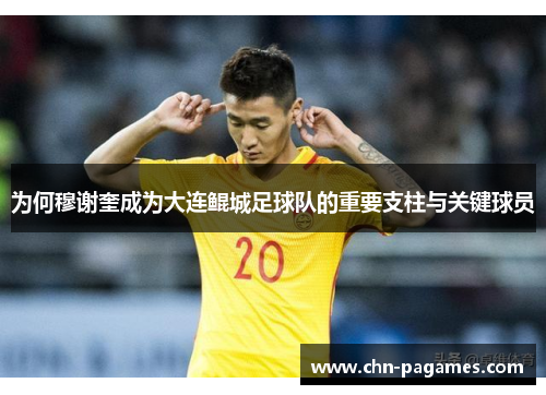 为何穆谢奎成为大连鲲城足球队的重要支柱与关键球员 为何穆谢奎成为大连鲲城足球队的重要支柱与关键球员
