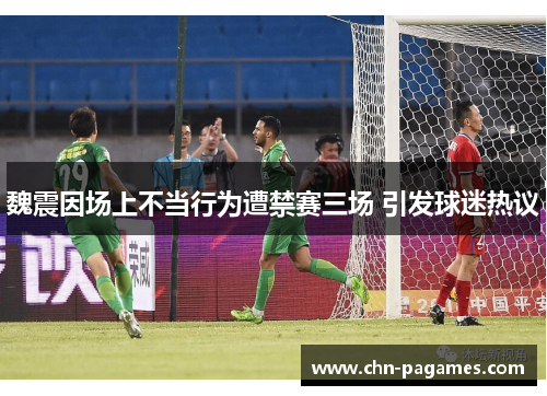 魏震因场上不当行为遭禁赛三场 引发球迷热议